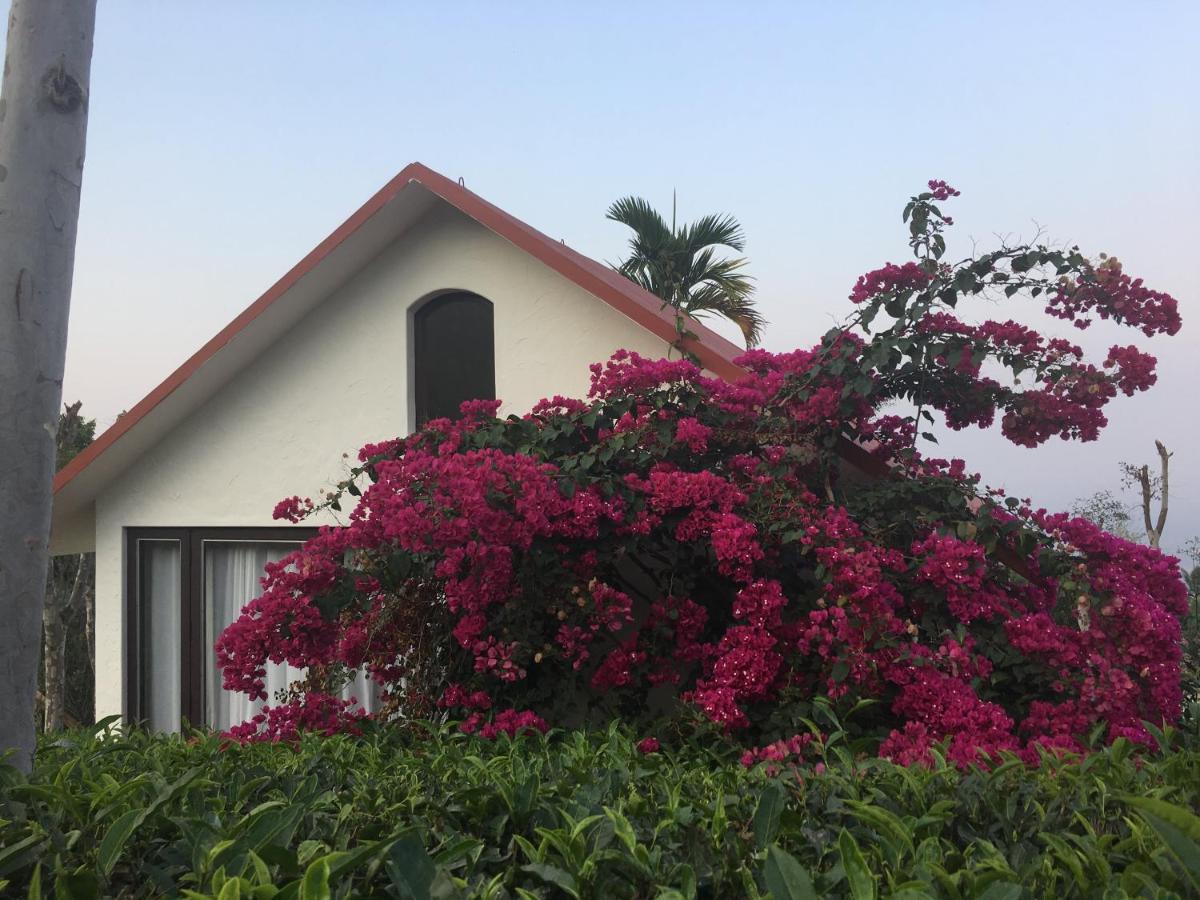 Tea Terrace Vythiri Hotel Wayanad Exterior photo