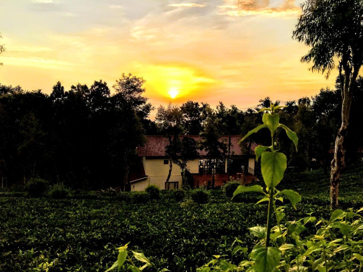 Tea Terrace Vythiri Hotel Wayanad Exterior photo
